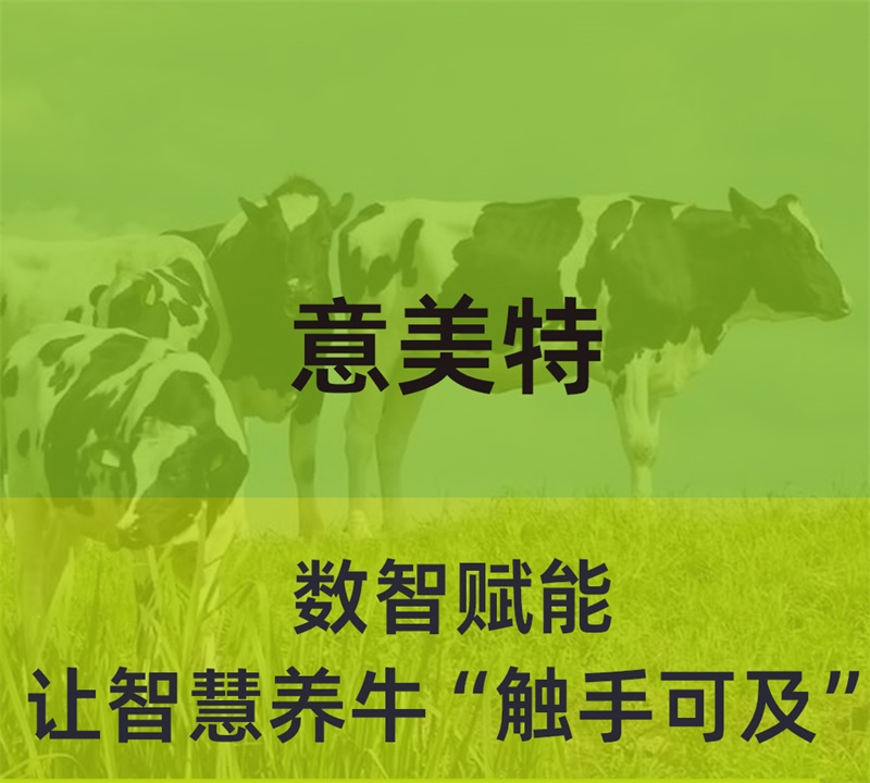 數(shù)智賦能，意美特讓智慧養(yǎng)牛“觸手可及”